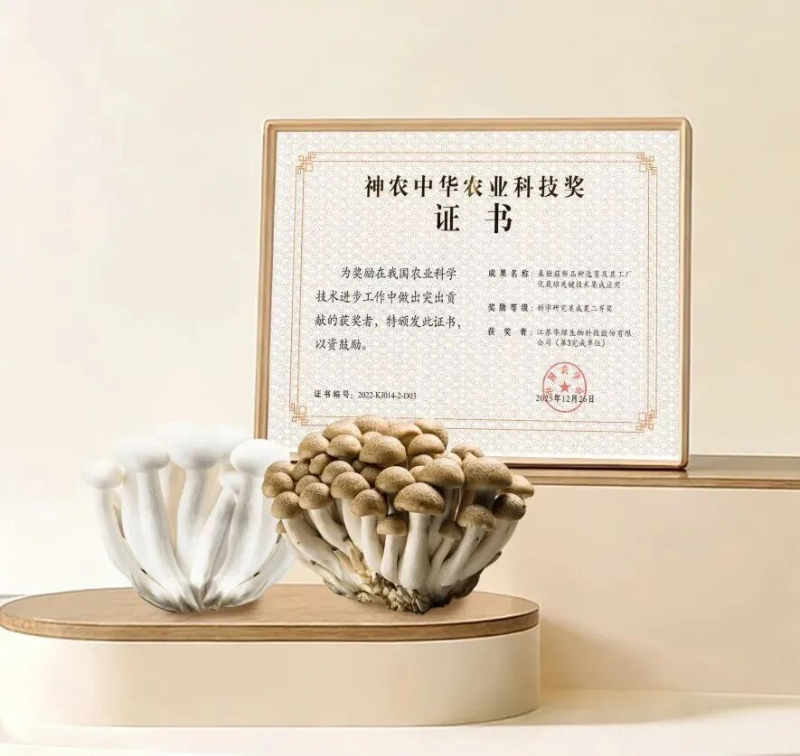 院企合作助推金针菇新品种“华金45”自主育种技术突破与知识产权服务升级