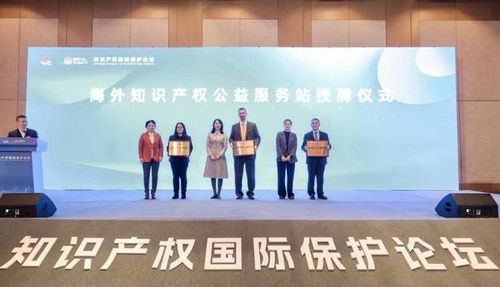 杭州高新区（滨江）知识产权国际保护论坛 共筑创新防护网